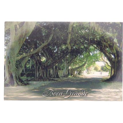 BANYAN STREET, BOCA GRANDE, FLORIDA, US used postcard 2001 postmark #