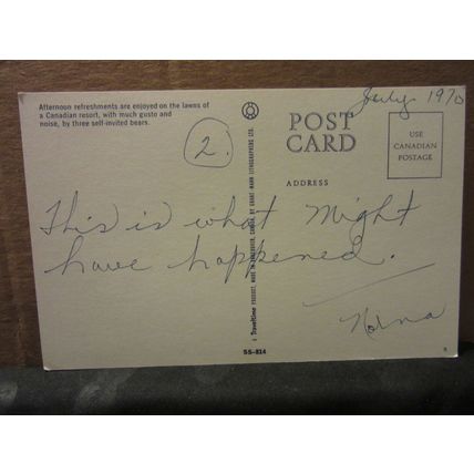 3 BLACK BEARS, CANADA used vintage postcard dated 1970