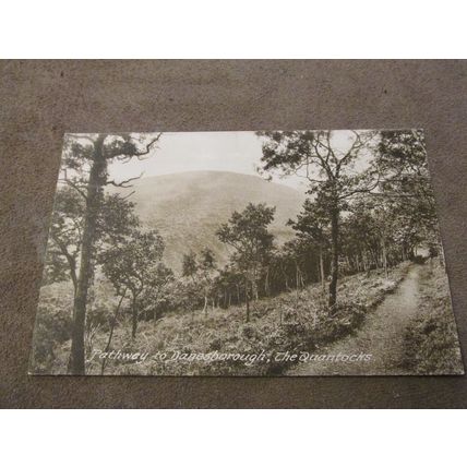 Frith Postcard - Pathway to Danesborough, The Quantocks - Sedgemoor, Somerset