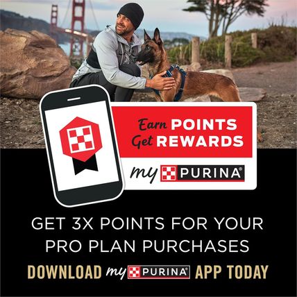 Purina Pro Plan High Protein Dog Food, Small Bites, SPORT 27/17 Lamb and Rice Fo