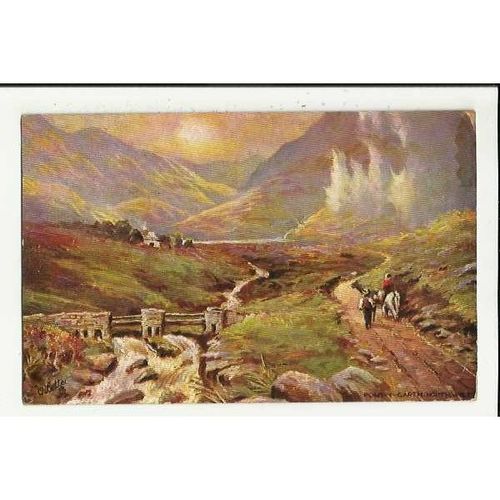 7382 PONT-Y-GARTH Tuck Oilette Postcard