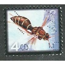 CAN 2010 4c ' INSECTS - WASP' FINE USED (EBID51-065)