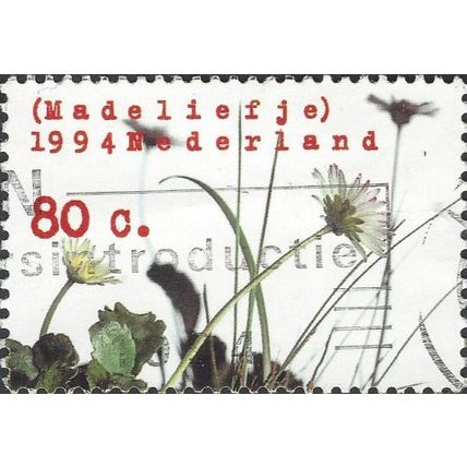 NETHERLANDS, FLOWER, Daisy, Bellis perennis, white 1994, 80c