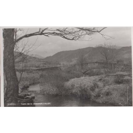 Duddon Valley Tarn Beck Broughton In Furness The Lake District Vintage Postcard