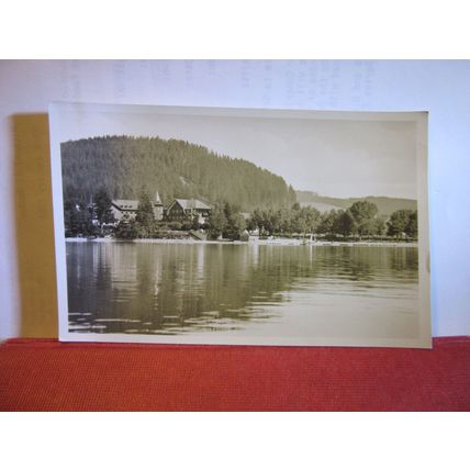 HOTEL, SCHWARZWALD, BLACK FOREST, GERMANY, unused vintage postcard RP #