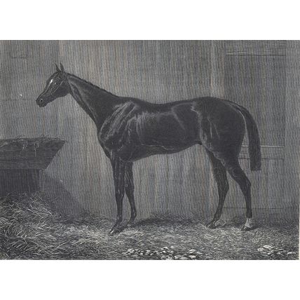 BLUE GOWN 1890 Racehorse Derby Ascot - John Wells VICTORIAN ENGRAVING