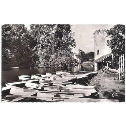 49 - Montreuil-Bellay -au bord du Thouet et le lavoir
