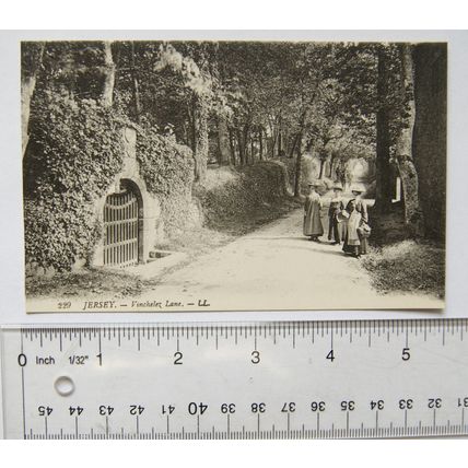 vintage postcard Jersey, Vinchelez Lane