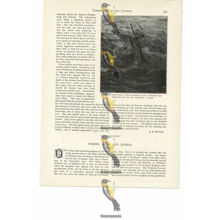 Schooner & Lightship, Victorian Naval History, Book Illustration (Print), 1894
