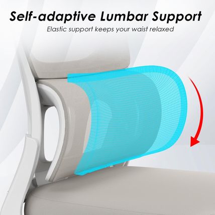 Soohow Ergonomic Home Office Chair, Mesh Desk Chair with Lumbar Support, Comfy C
