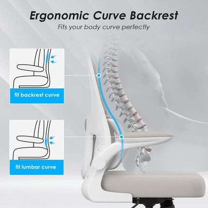 Soohow Ergonomic Home Office Chair, Mesh Desk Chair with Lumbar Support, Comfy C