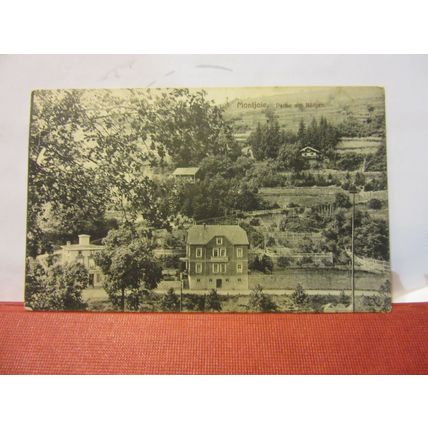 PARHE AM ROTGEN, MONTJOIE, GERMANY unused antique postcard /