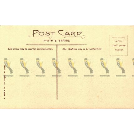 Windsor Castle, Friths 35368 Postcard