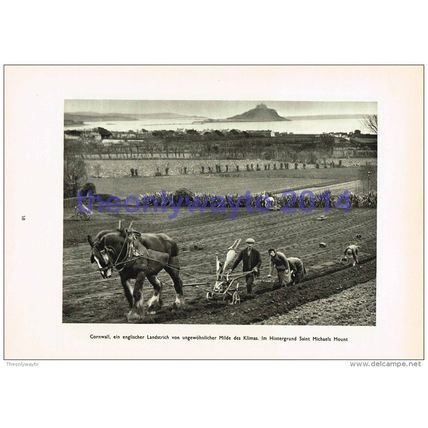 Horse Drawn Farming, Near St Michaels Mount, Cornwall, Book Illustration, 1935