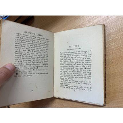 1919 DAISY ASHFORD "THE YOUNG VISITERS" FICTION SMALL HARDBACK BOOK (P2)