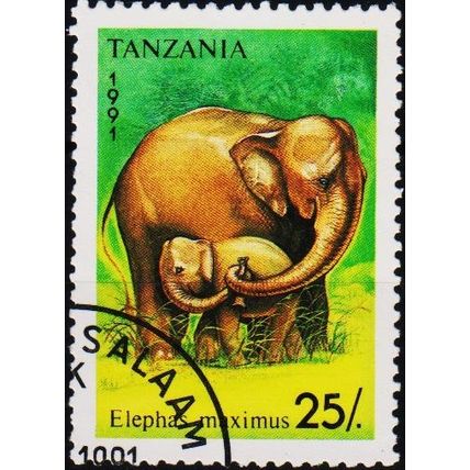 Tanzania. 1991 25s S.G.1076 Used