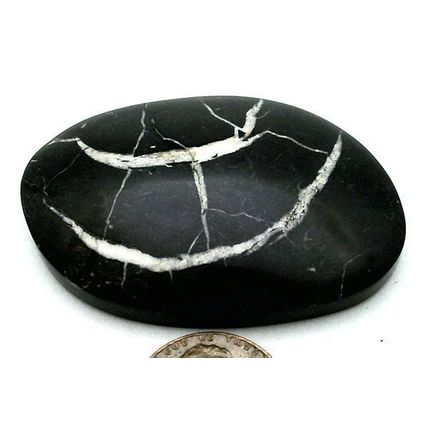 Black Septarian Freeform Gemstone Cabochon 468