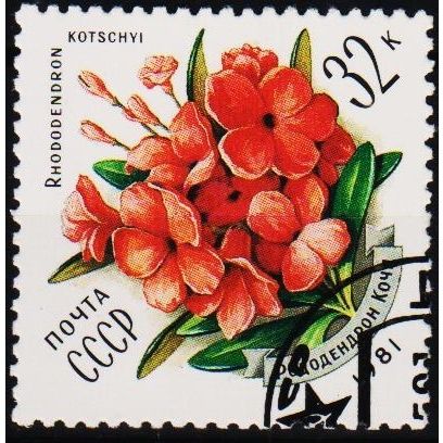 Russia. 1981 32k S.G.5133 Used