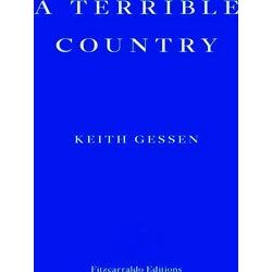A Terrible Country