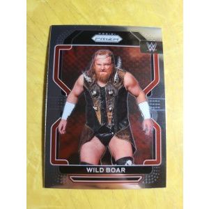 2022 Prizm WWE #139 Wild Boar