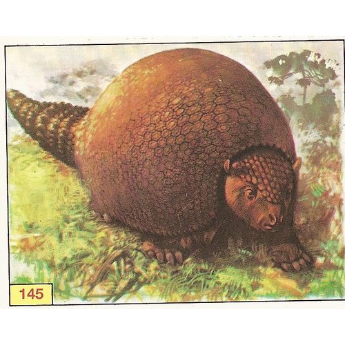 Panini's Dinosaurs Sticker Collection - Sticker No. 145