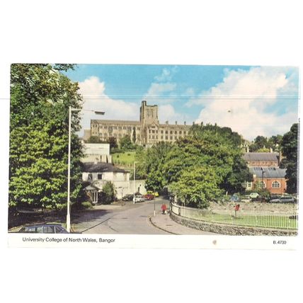 UNIVERSITY COLLEGE OF NORTH WALES. unused vintage postcard by E T W Dennis