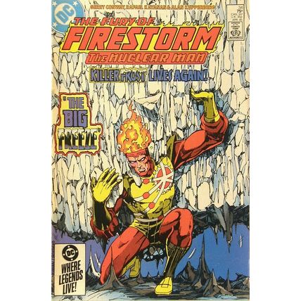 Firestorm (Vol 2) The Fury of # 034 NM MODERN AGE COMICS