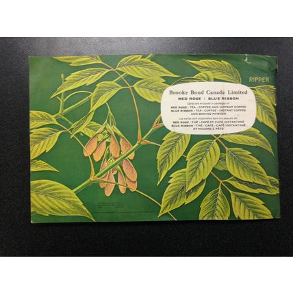 1963 Brooke Bond Album 11 Red Rose Tea 48 Card Album Trees #3