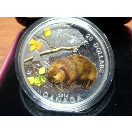 2014 $20 Canada 1 oz. Fine Silver Coin - Baby Beaver