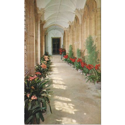 GB postcard c1980's - The Cloisters, Forde Abbey Nr, Chard, Somerset