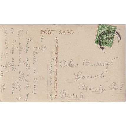 Two Cats Looking To Right Cat Postcard (QAN0020)
