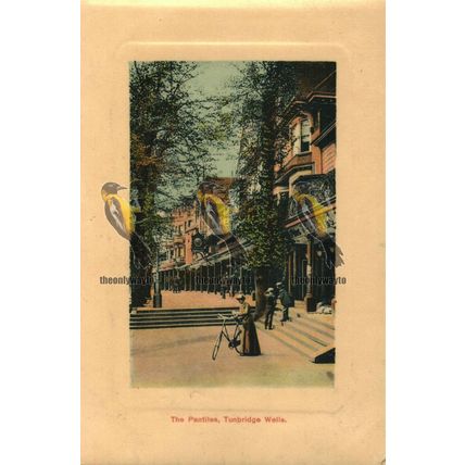 Pantiles, Tunbridge Wells, Rare Postcard, 1908