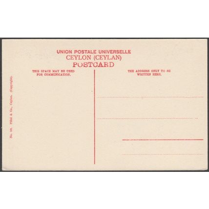 Negambo Canal, Ceylon, c.1905-10 - Plâté Postcard