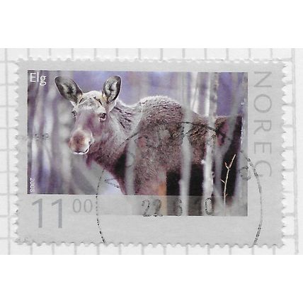 NORWAY 2008 11Kr ELK MOOSE ALCES ALCES WILDLIFE ANIMAL FAUNA USED DATED SON