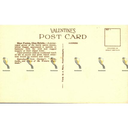 Skye Ponies, Glen Brittle, Scotland, Valentine's Postcard, 1932