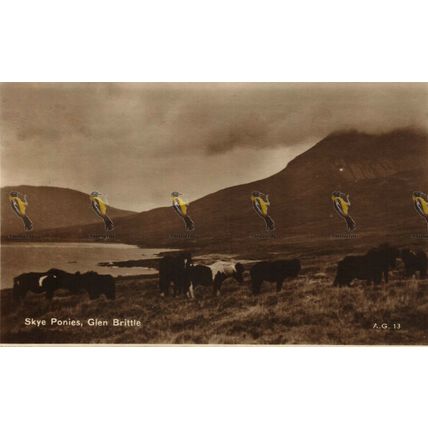 Skye Ponies, Glen Brittle, Scotland, Valentine's Postcard, 1932