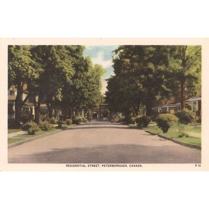 Residential Street Peterborough Ontario Canada Antique Postcard