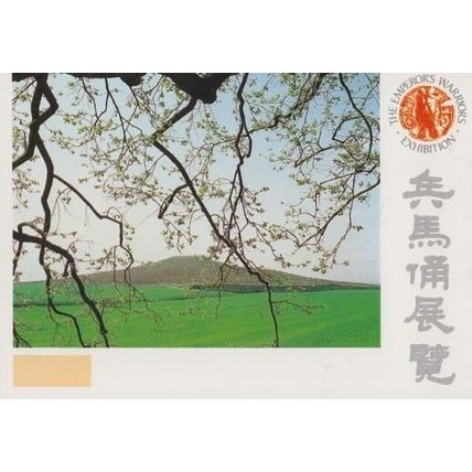 The Emporers Warriors Exhibition Chinese Horses Qin Dynasty Postcard