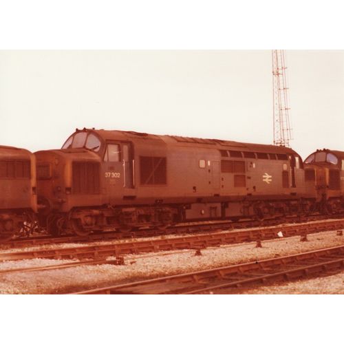 Railway Photo BR Class 37 37302 Margam Depot 1976 Diesel Loco Shed