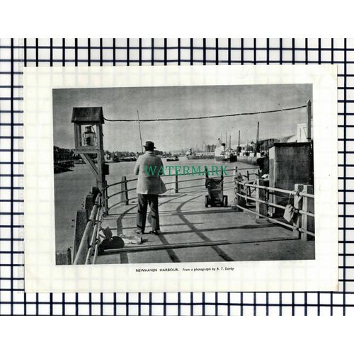 (8031) Newhaven Harbour Sussex - 1955 Cutting