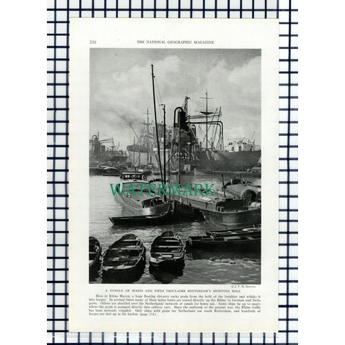 (8053) Rotterdam Rhine Haven - 1940 Book Print