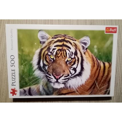 Adult Tiger 500 Piece Jigsaw 48cm x 34cm