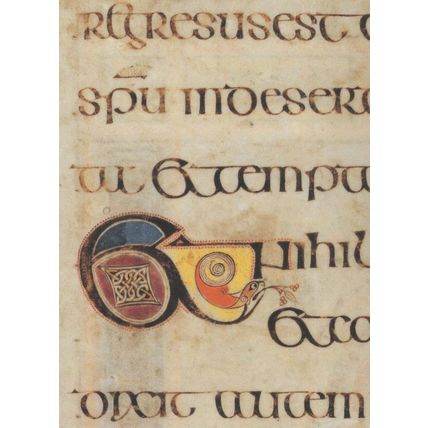 Book Of Kells Crosses Fills The Bowl St Lukes Gospel 204R Postcard