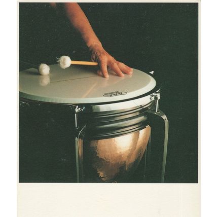 Percussion Drummer Of Rotterdam Holland Orchestra Award Photo Postcard