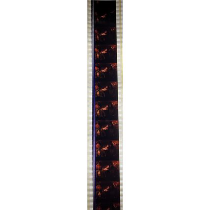 Dracula . Pk AA - A020t. 1 STRIP OF 10 - 35MM FILM CELLS