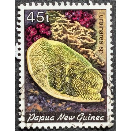 STAMP Papua New Guinea SG449 1983 45t Corals Used