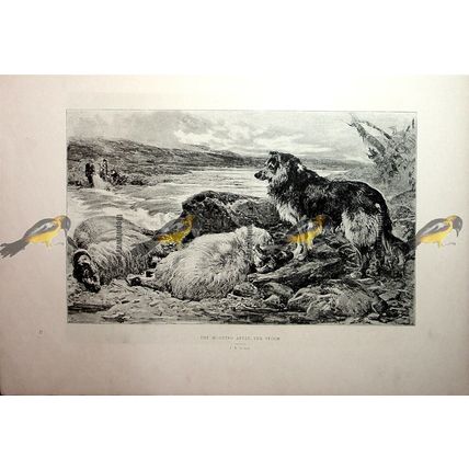 Morning After The Storm, J S Noble, Book Illustration (Print), 1891