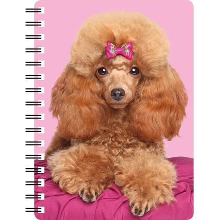 Poodle, Red Poodle, 3D Notebook ideal birthday gift