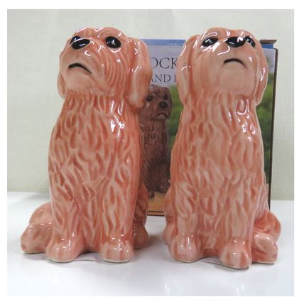 Cockapoo Dogs Salt and Pepper Pots Novelty Canine Cruet Set Boxed Shakers