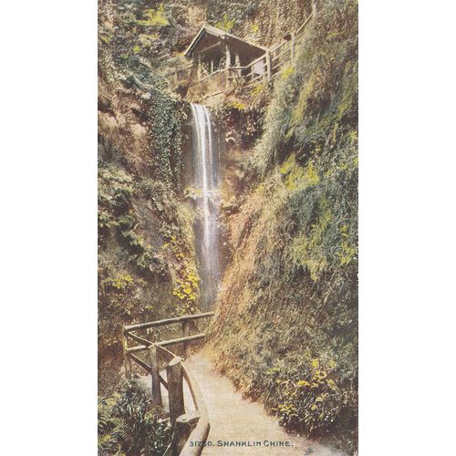 Shanklin Chine Isle of Wight Postcard (IOW76453)